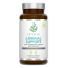 Maisto papildas „Adrenal Support“ su vitaminu B5, Cytoplan 60 vnt