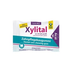 RAAB Vitalfood ksilitoliu saldinta kramtomoji guma „Xylital“ 19 g