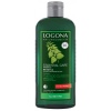 Logona Essential Care dilgėlių šampūnas normaliems plaukams, 250 ml